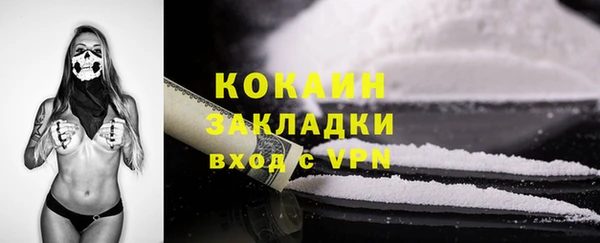 шишки Богданович