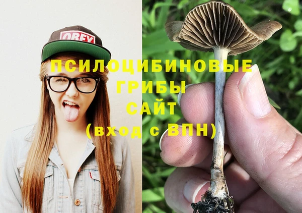 шишки Богданович