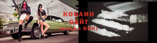 шишки Богородицк
