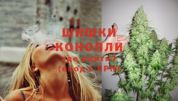 шишки Богданович