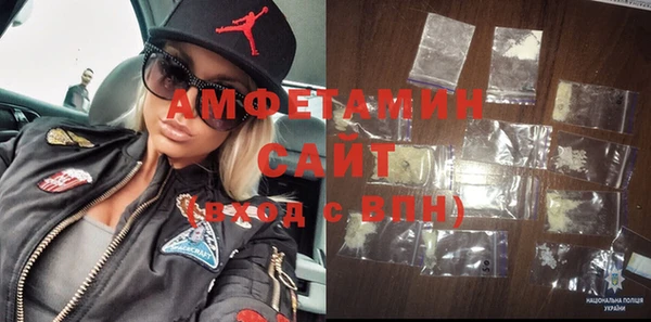 шишки Богородицк