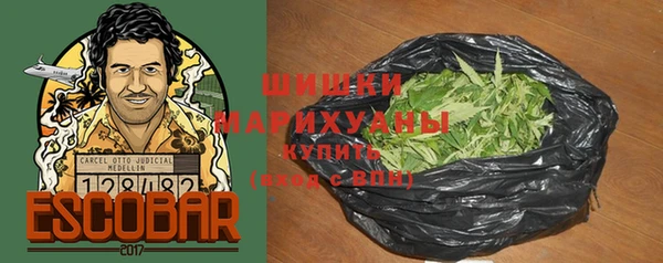 шишки Богданович