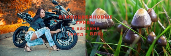 гидропоника Кострома