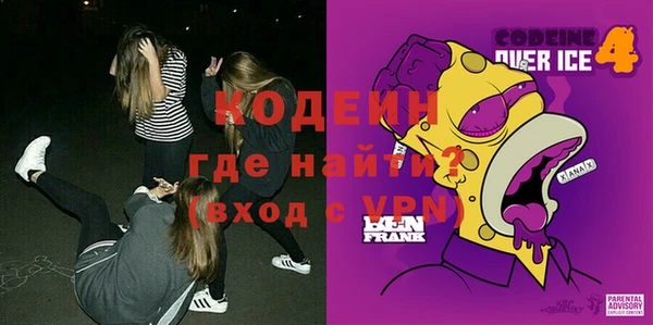 шишки Богородицк