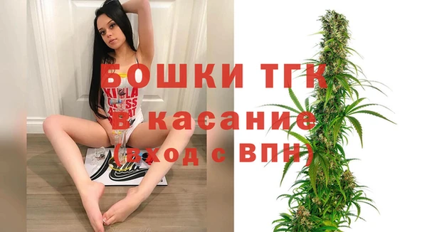 шишки Богданович